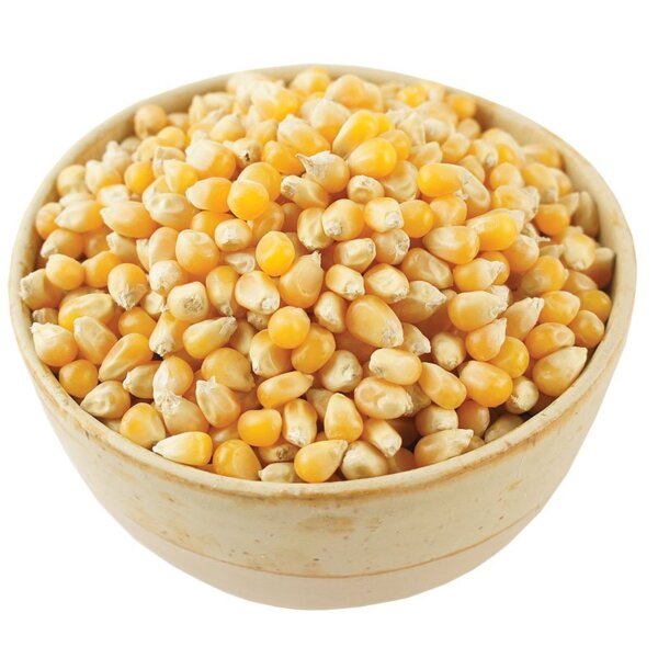 Popcorn EKO